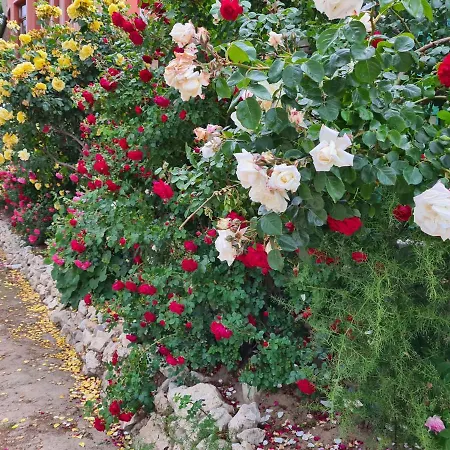 Penchevi Affittacamere 3*