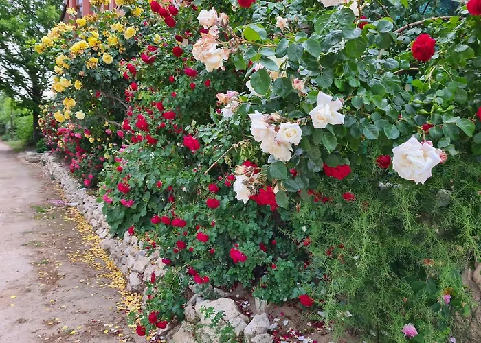 Penchevi Gæstehus 3*